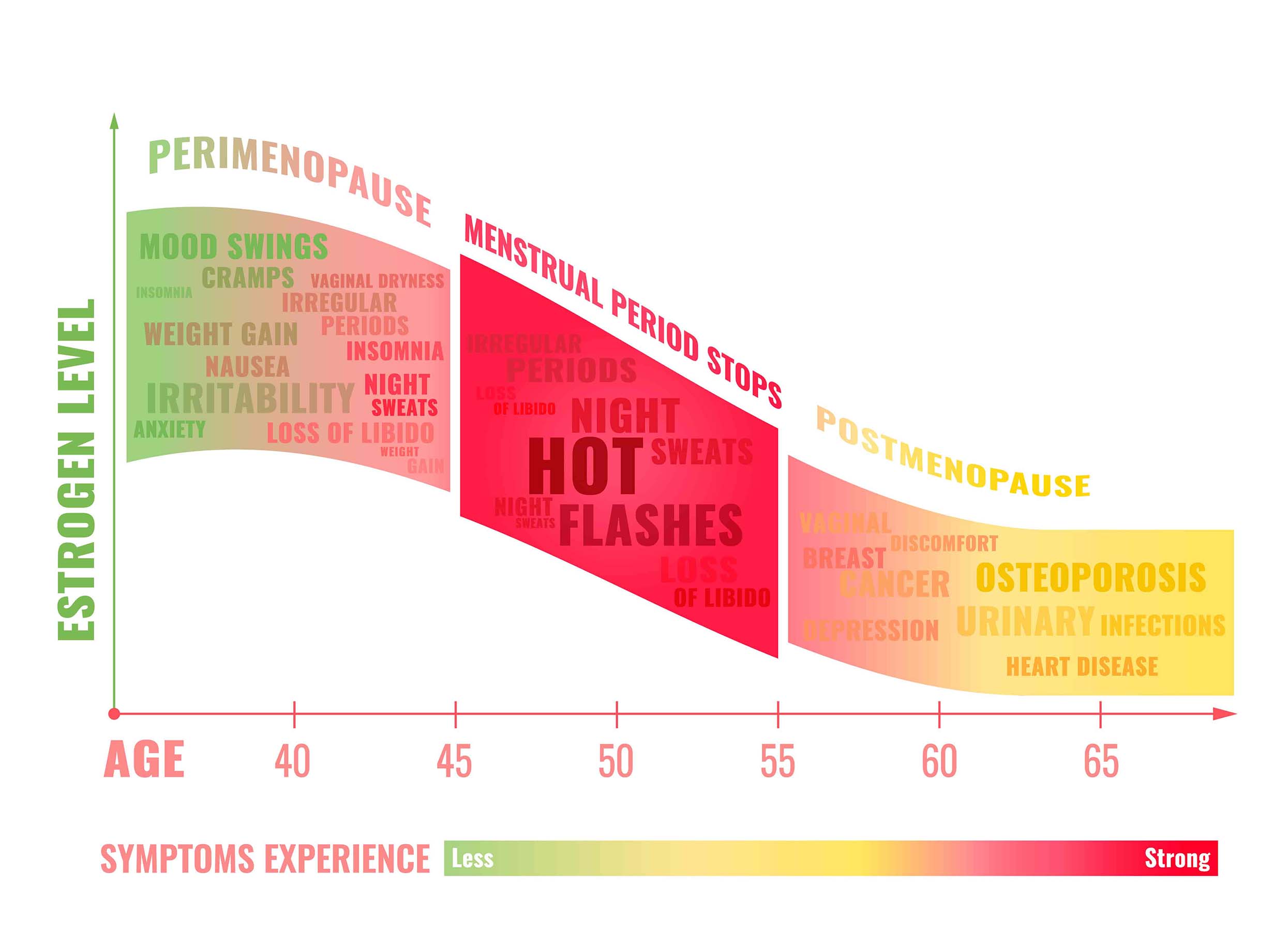 Hot Flashes Chart -  Hot Flashes and Heart Disease